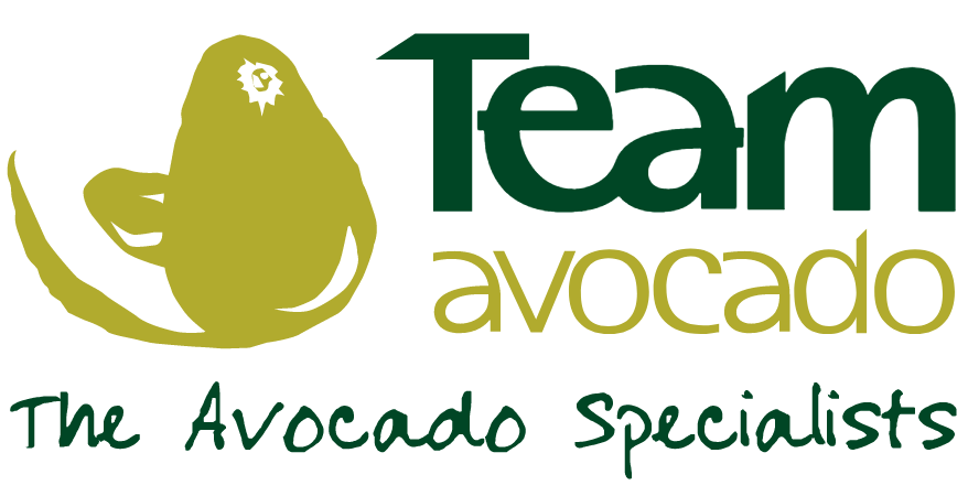 Team Avocado